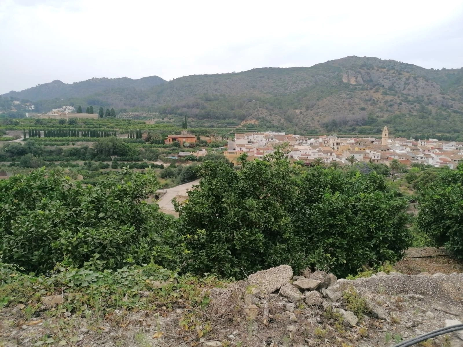 PARCELA RUSTICA CON VISTAS PANORÁMICAS EN FORNA