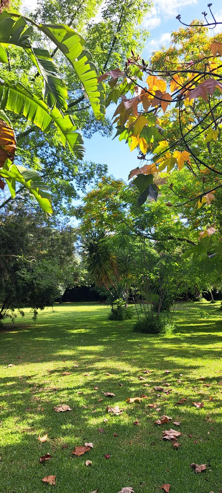 CASA DE CAMPO EN ONDARA
