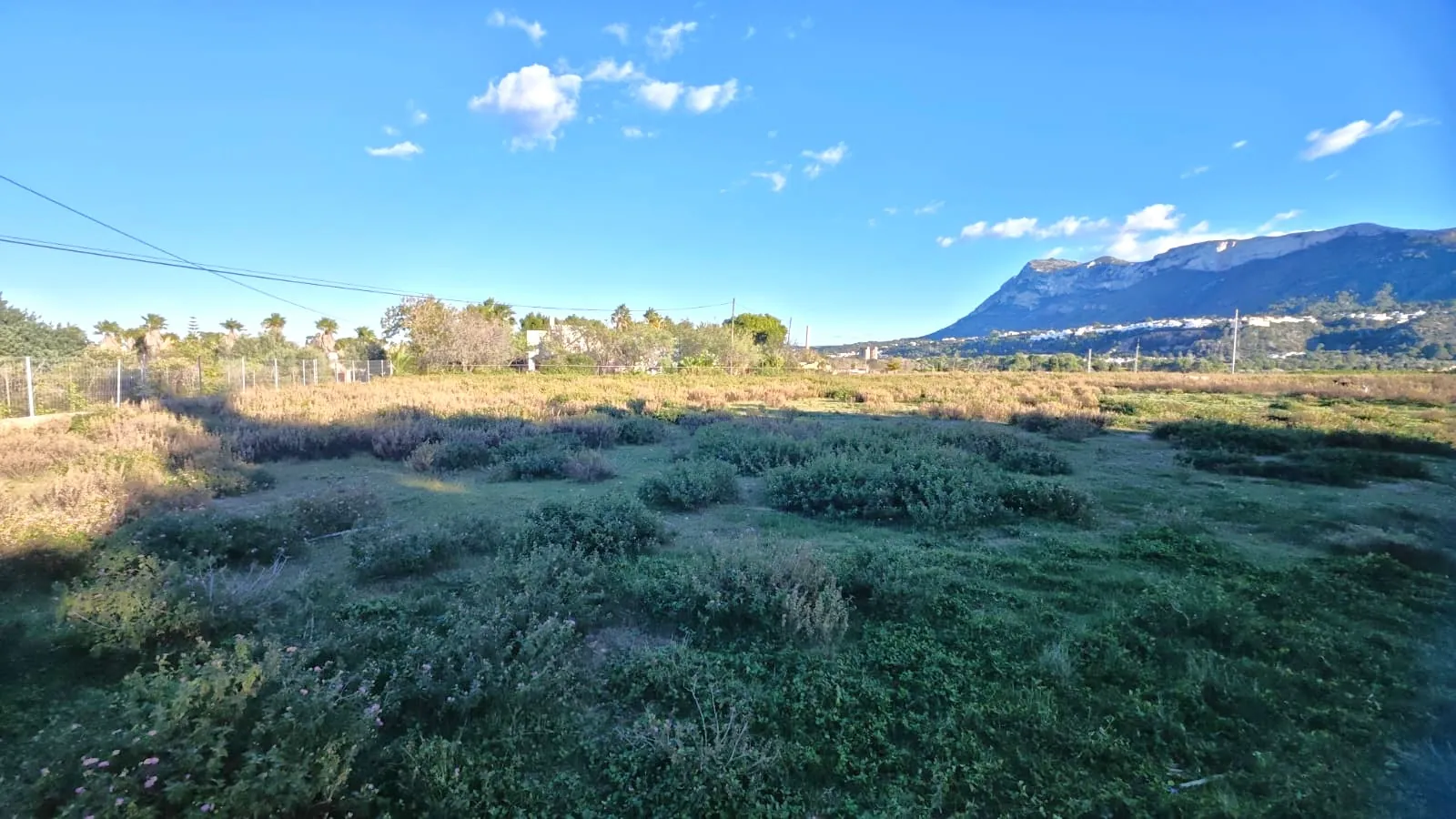 PARCELA con CASA RUSTICA para REFORMAR de 493m2 - DENIA - LA XARA