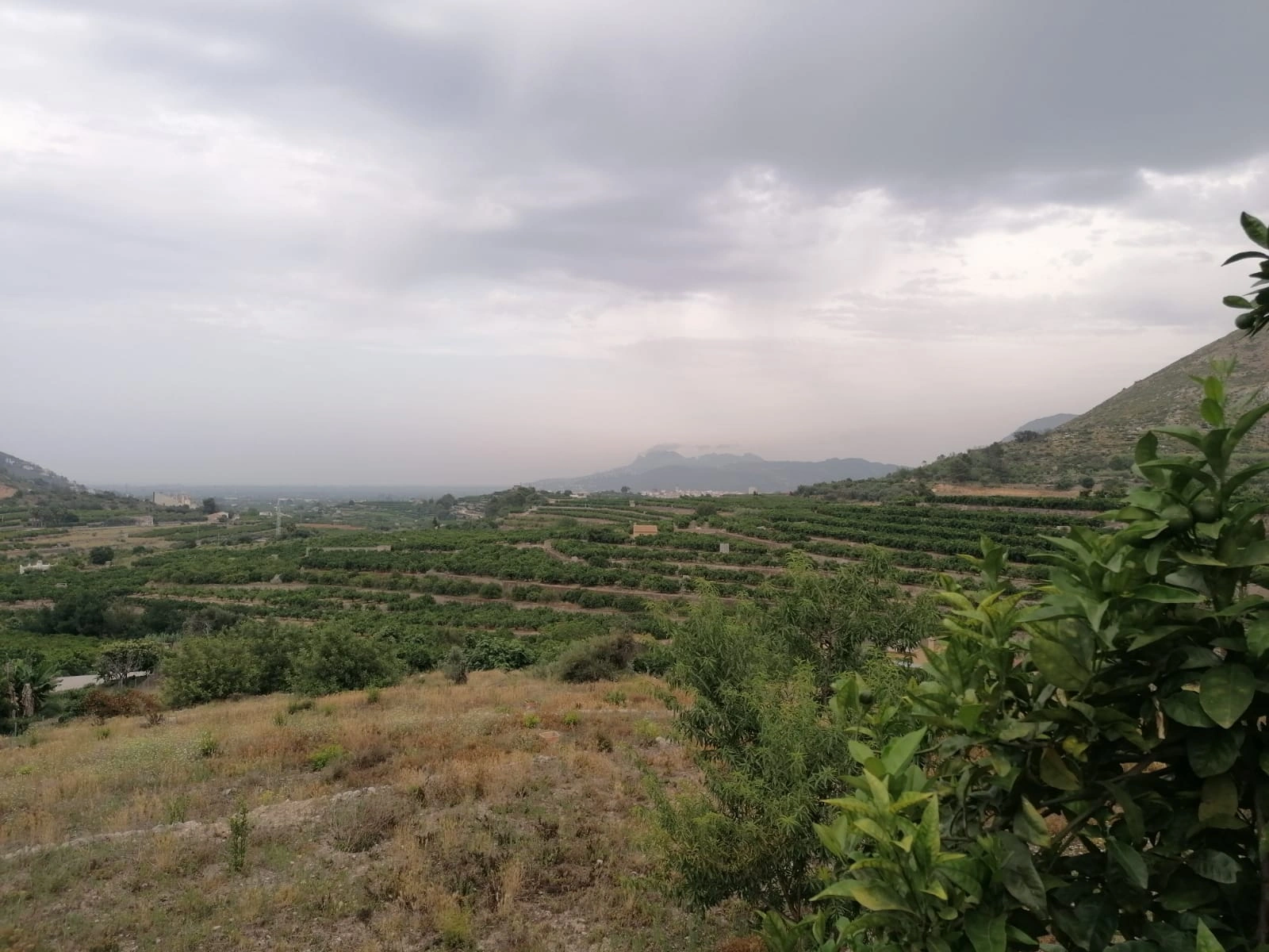 PARCELA RUSTICA CON VISTAS PANORÁMICAS EN FORNA