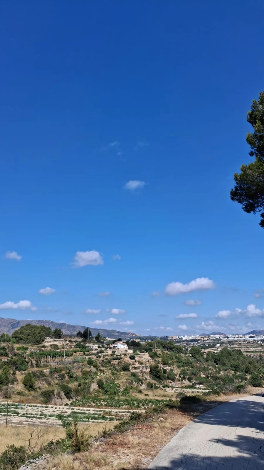 TERRENO RÚSTICO EN BENISSA