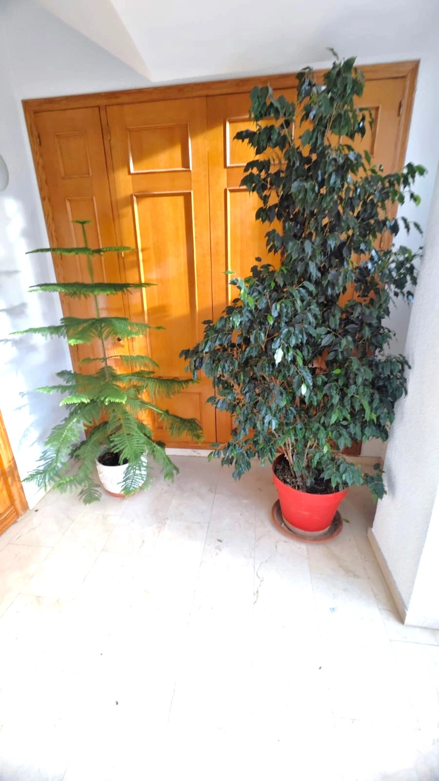 PLANTA BAJA EN EL PUEBLO DE MIRAMAR