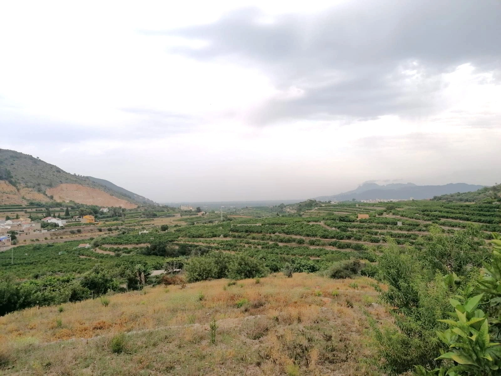 PARCELA RUSTICA CON VISTAS PANORÁMICAS EN FORNA