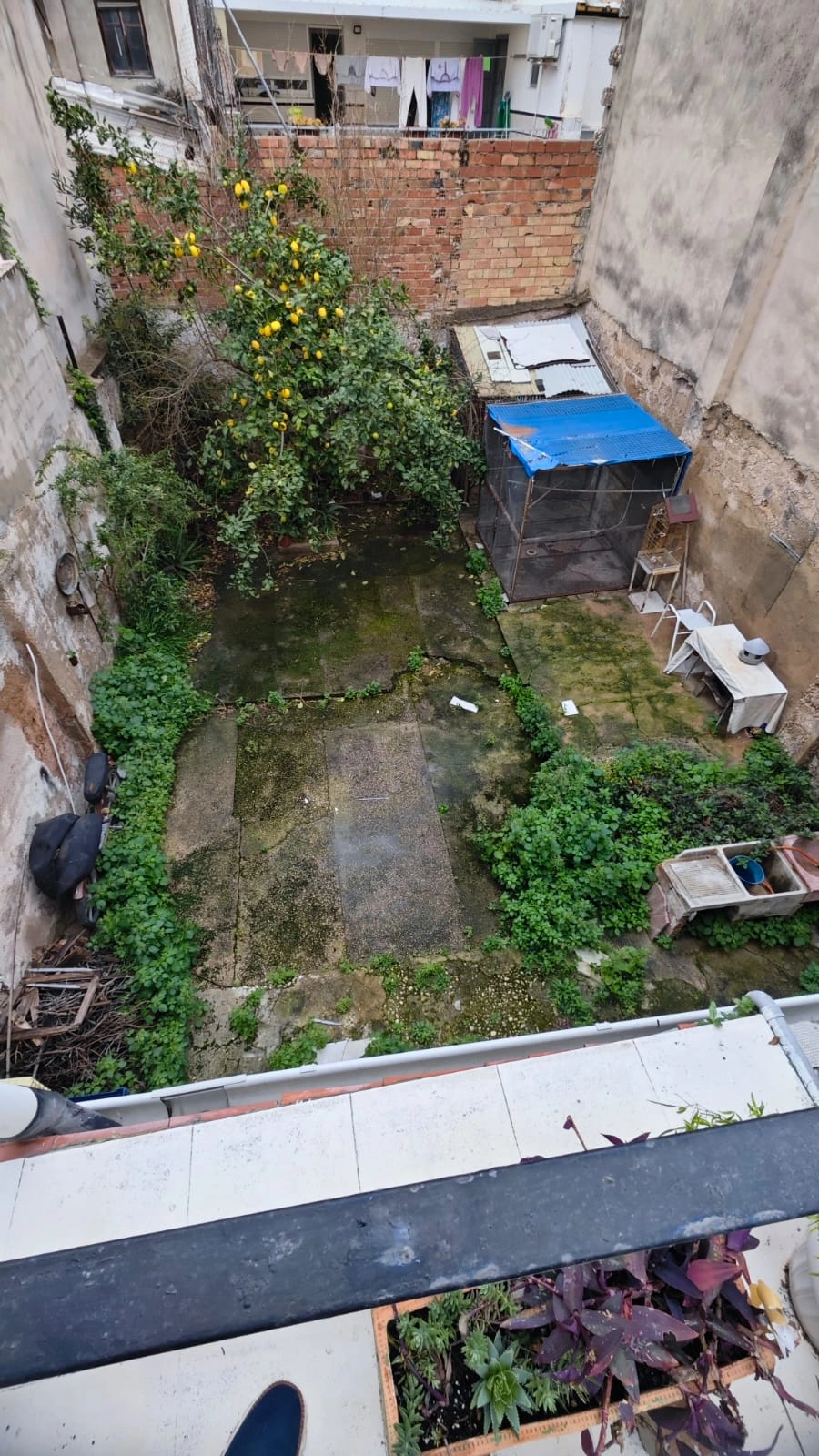 CASA DE DOS PLANTAS Y TERRAZA EN GANDIA