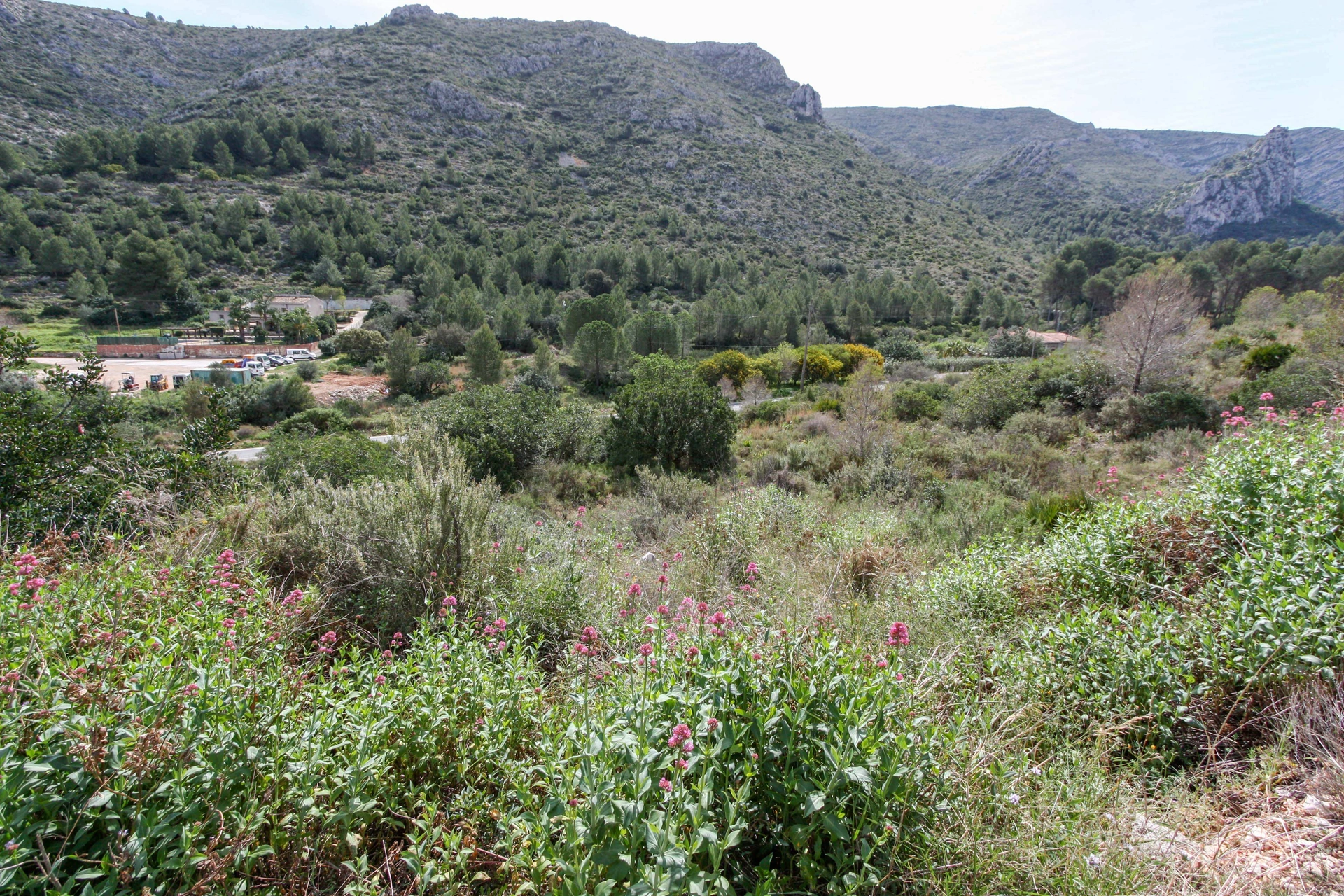Parcela urbana de 1000m2 en la Urbanización Montesolana en venta en Pedreguer