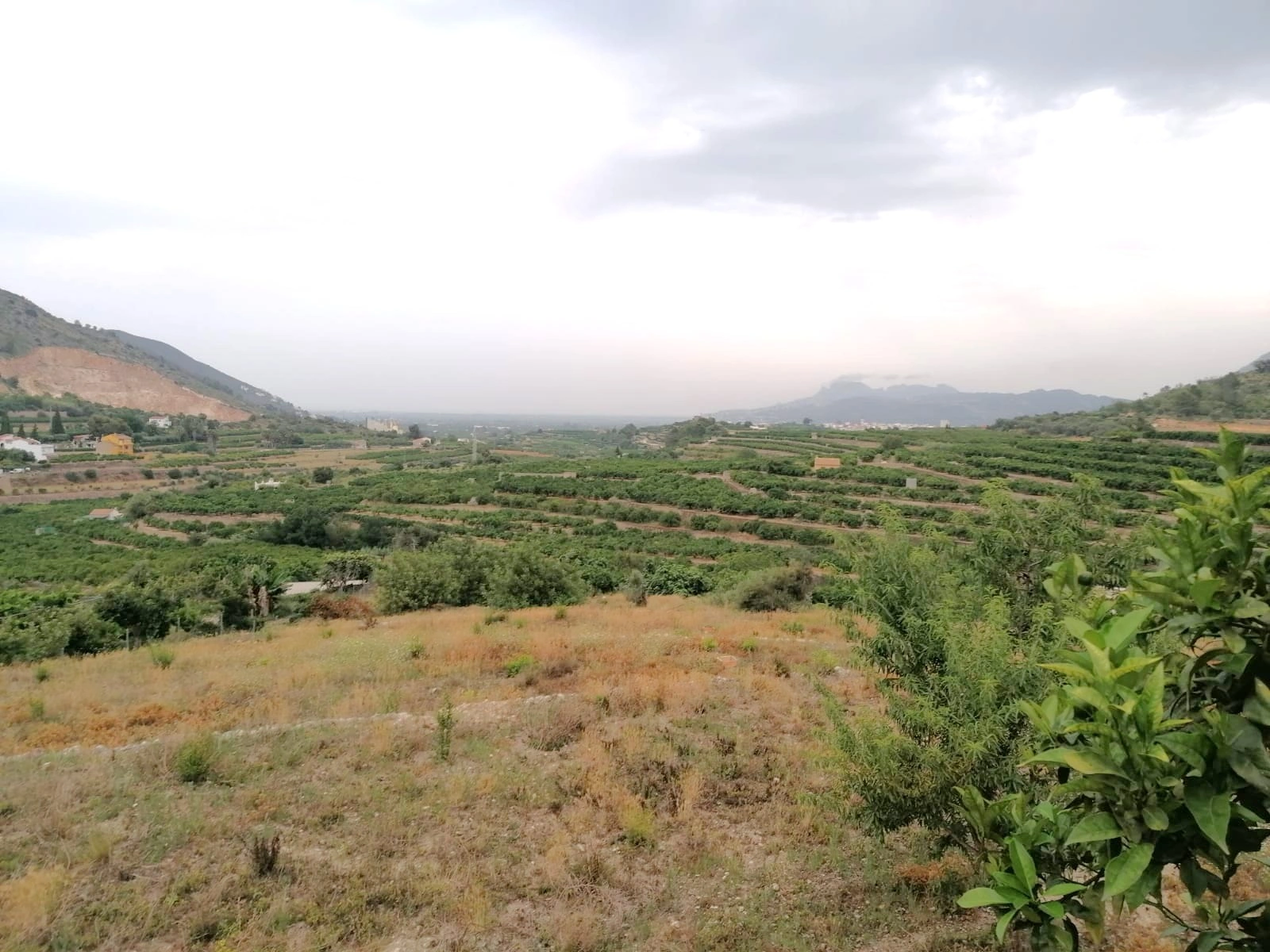 PARCELA RUSTICA CON VISTAS PANORÁMICAS EN FORNA