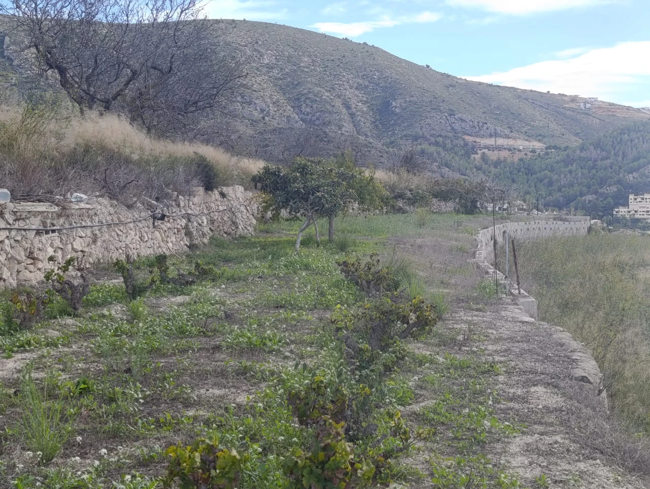 Se Vende espectacular casa de campo en Benitachell