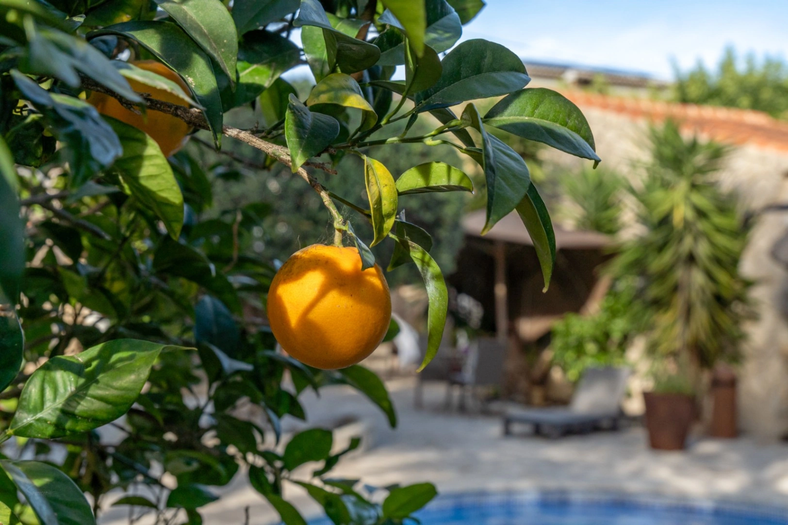 Villa con apartamento de invitados, totalmente renovada y cerca del casco antiguo de Jávea