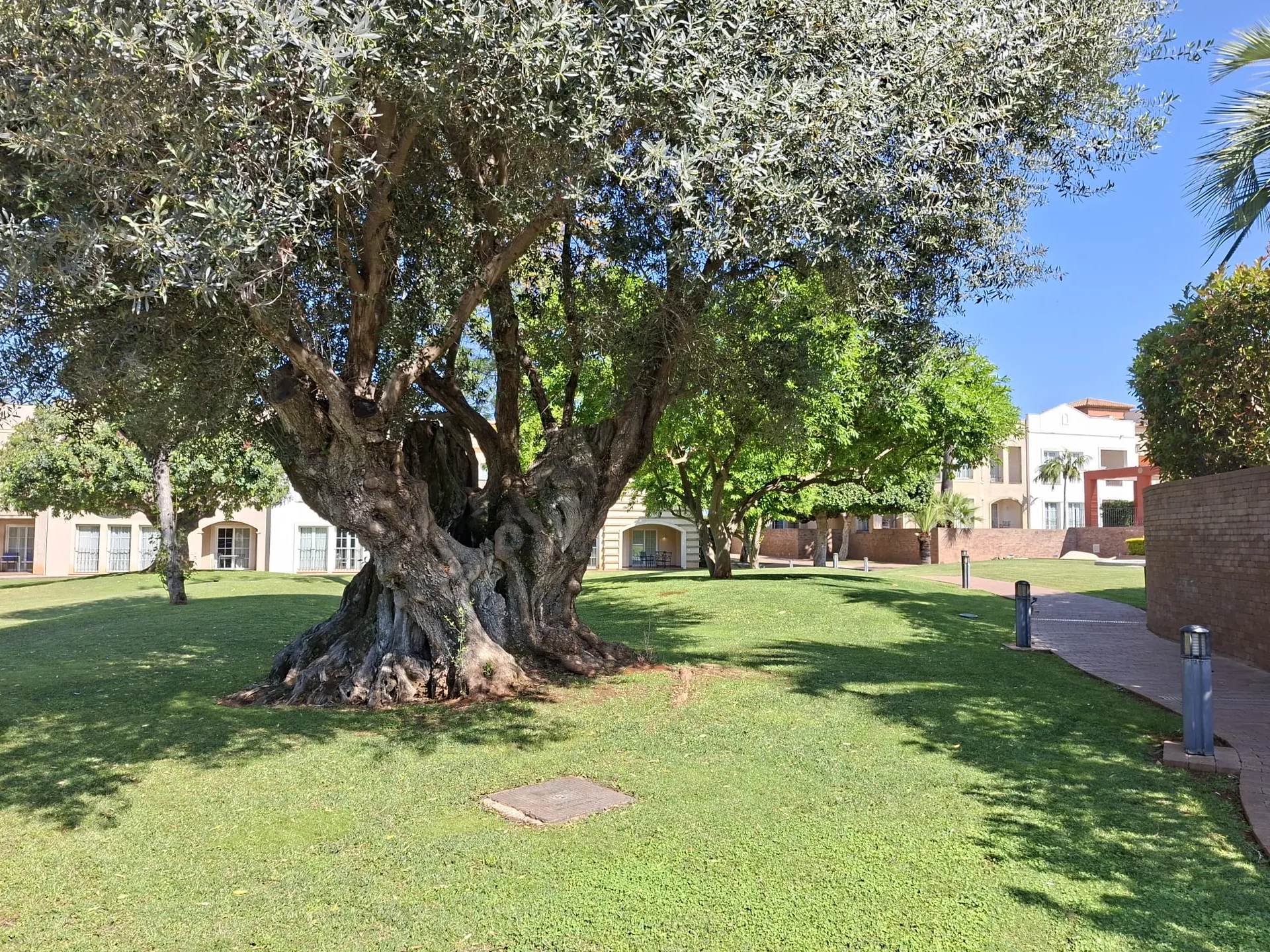 Apartment en venta en Denia