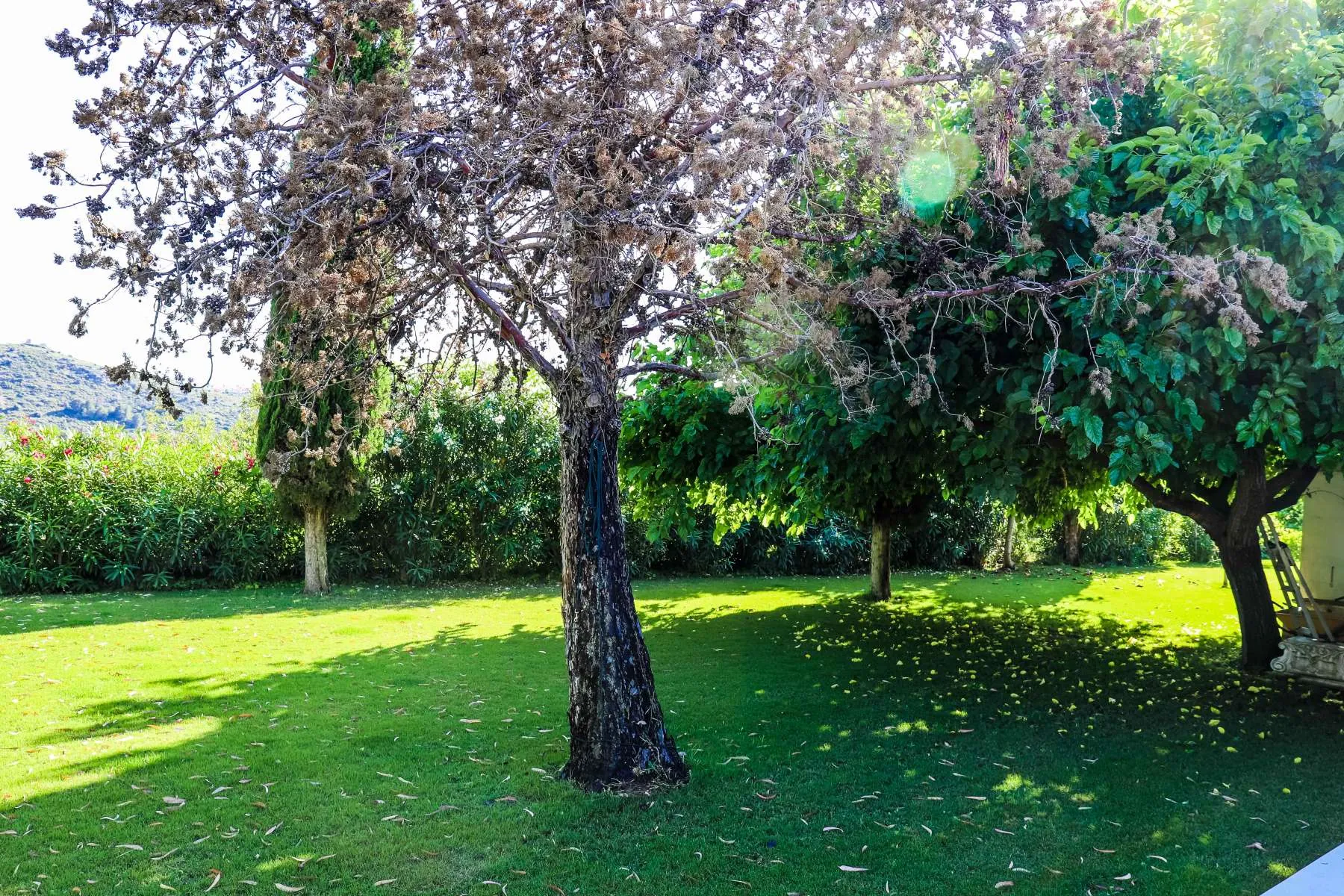 Country House en venta en Jesus Pobre