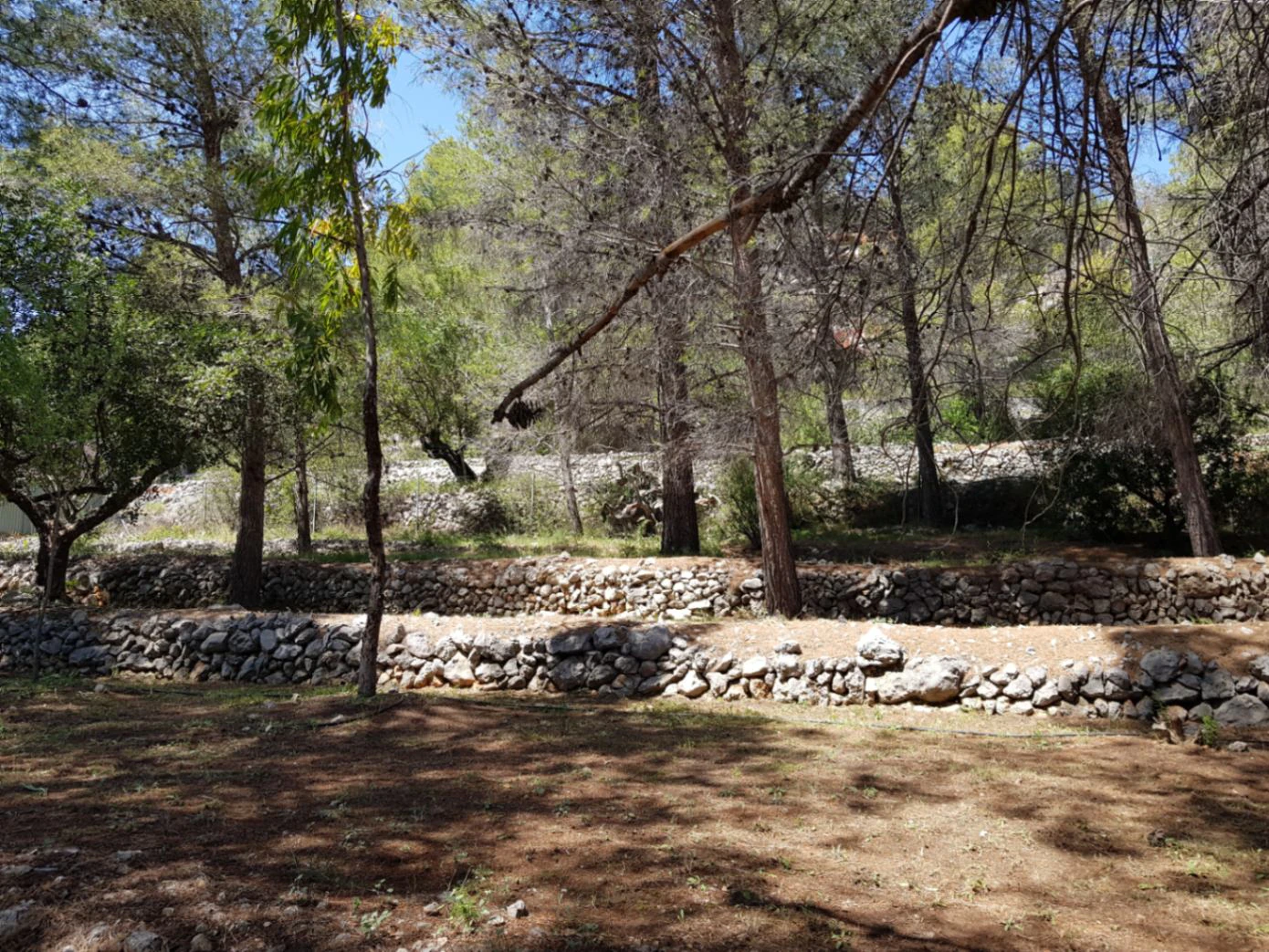 Casita for sale in Alcalali: large urban plot