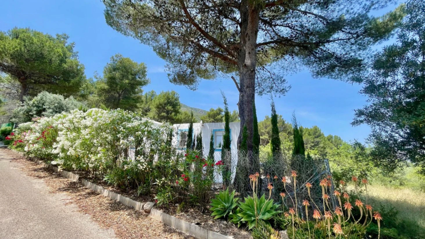 Country house for sale in Parcent: large plot, tranquil escape