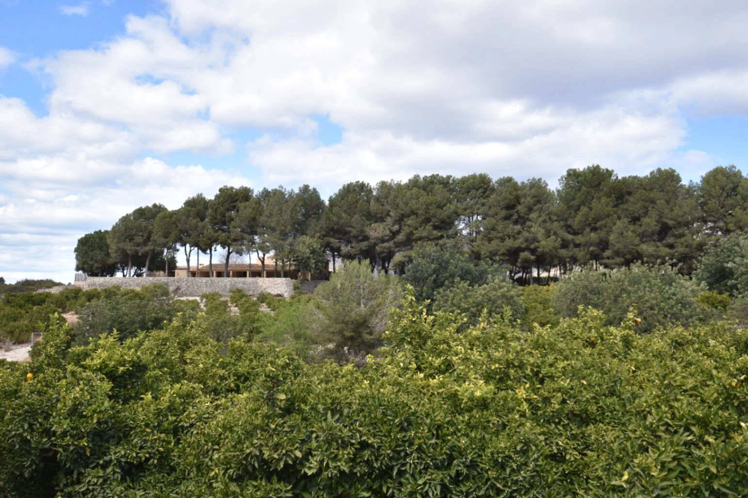 Finca for sale in Denia