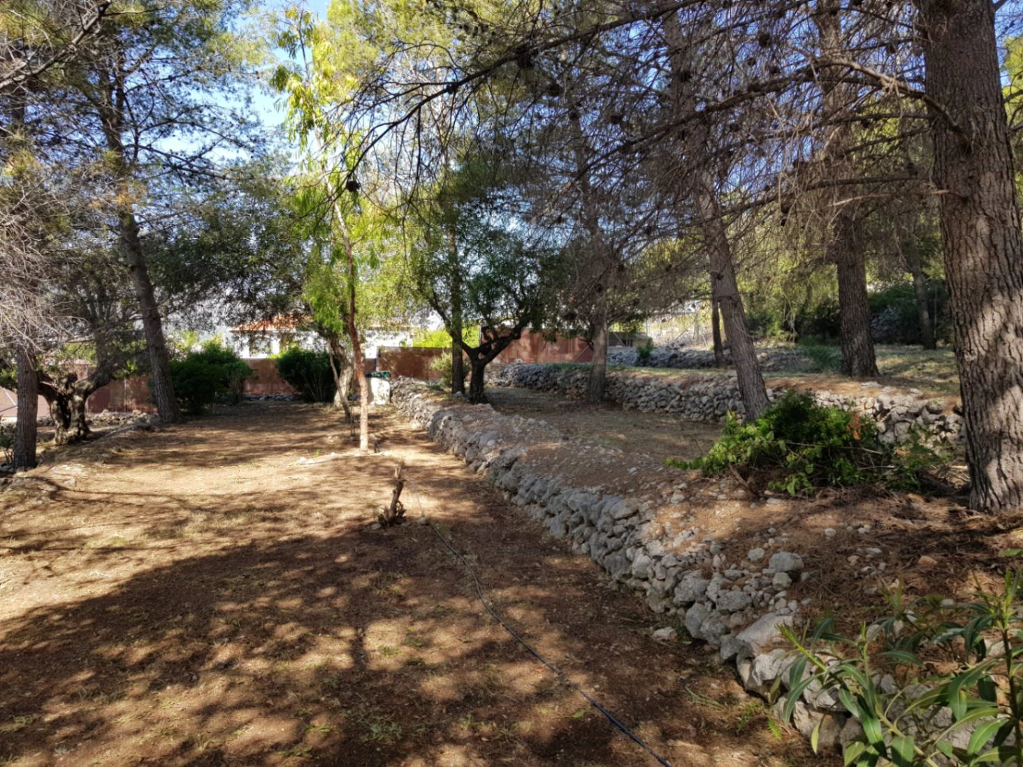Casita for sale in Alcalali: large urban plot