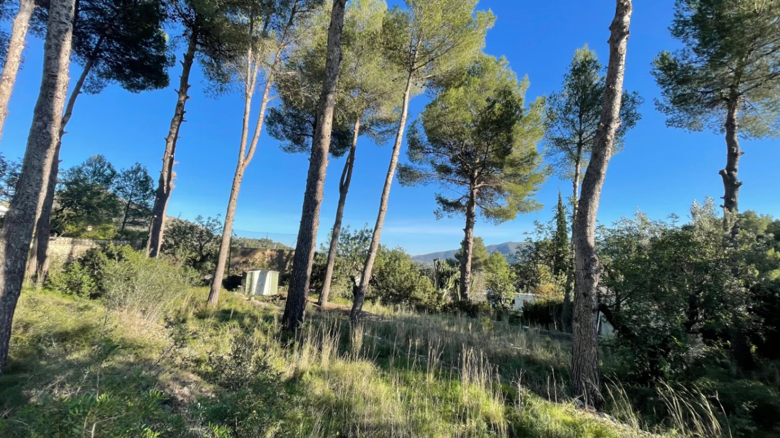 Casita for sale in Alcalali: large urban plot