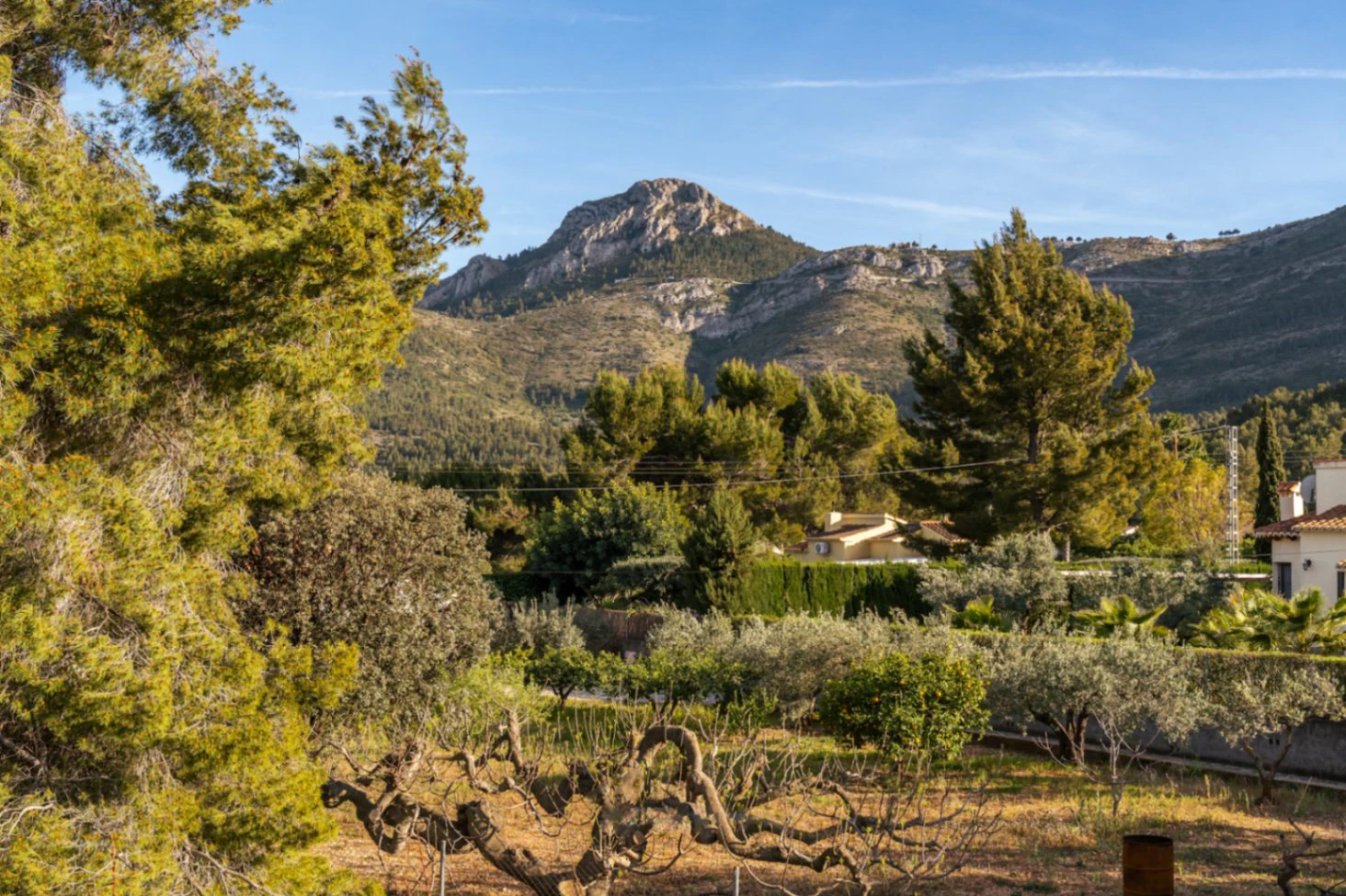 Two villas for sale in Parcent on one plot