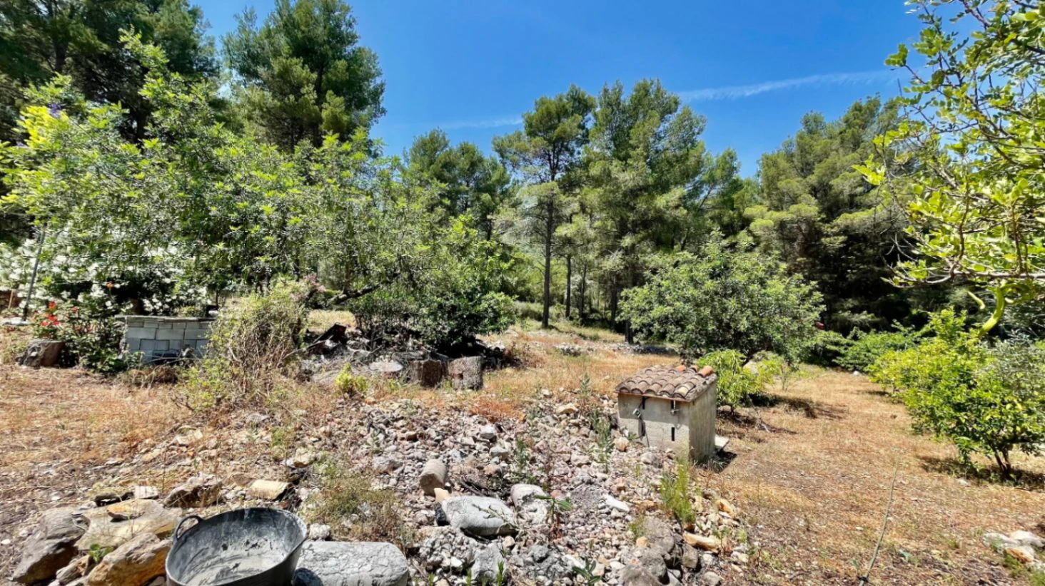 Country house for sale in Parcent: large plot, tranquil escape