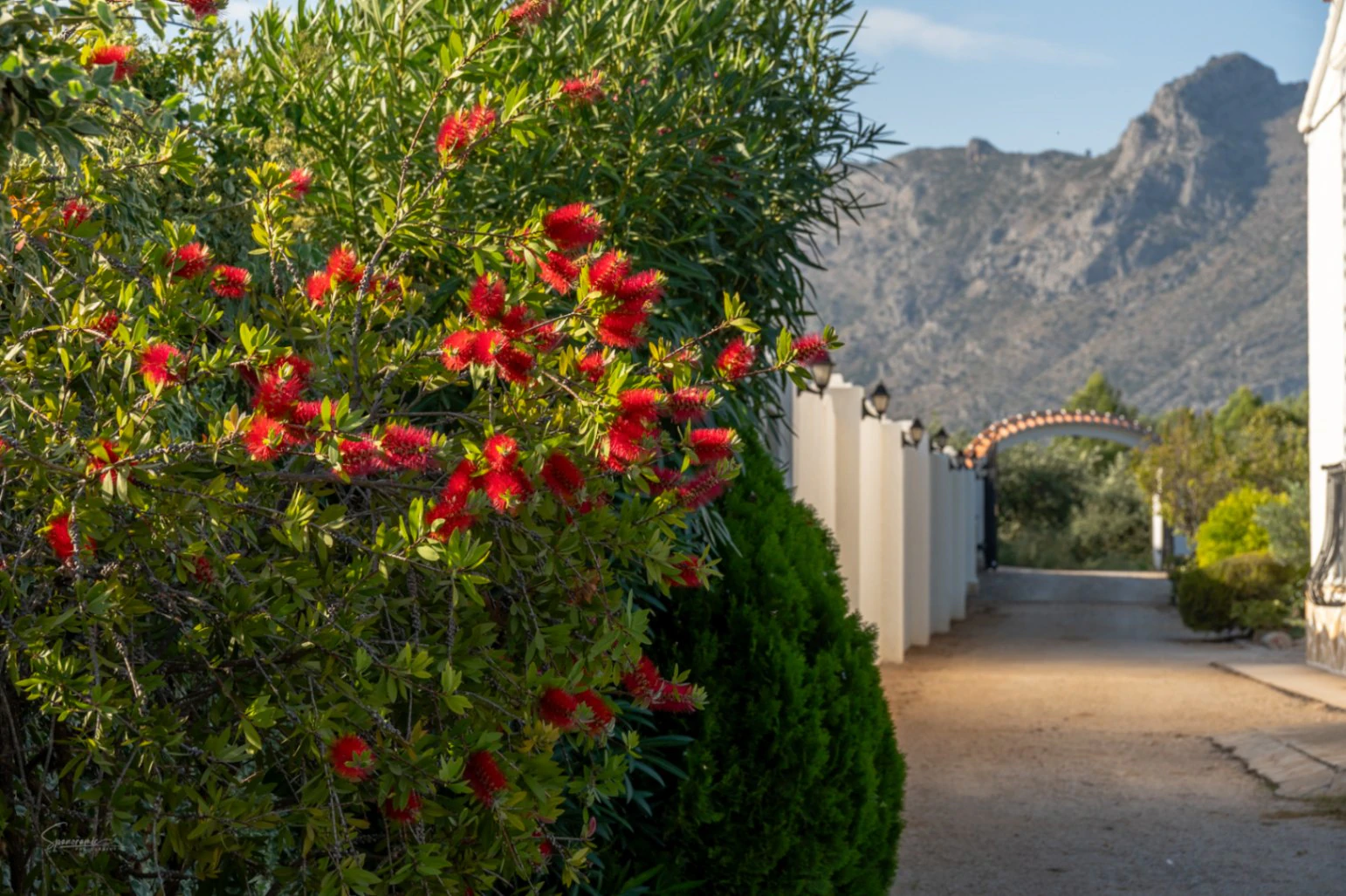 Two villas for sale in Parcent on one plot