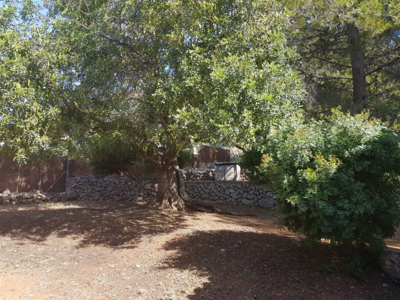 Casita for sale in Alcalali: large urban plot