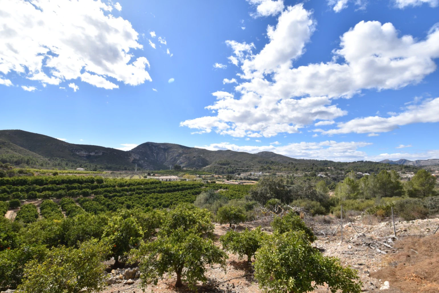 Finca for sale in Denia
