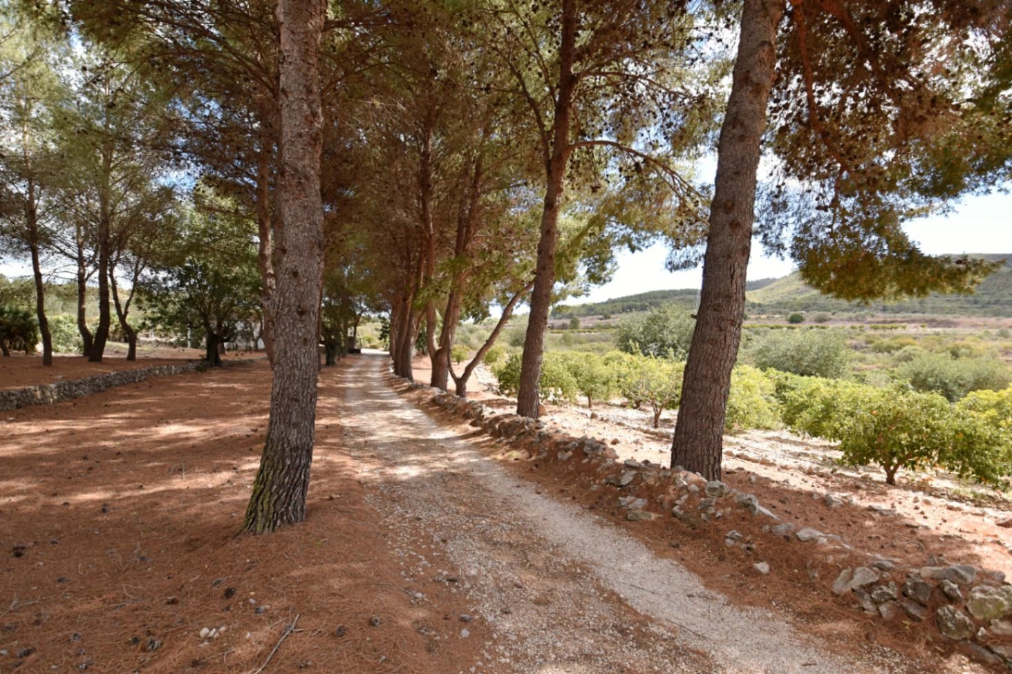 Finca for sale in Denia