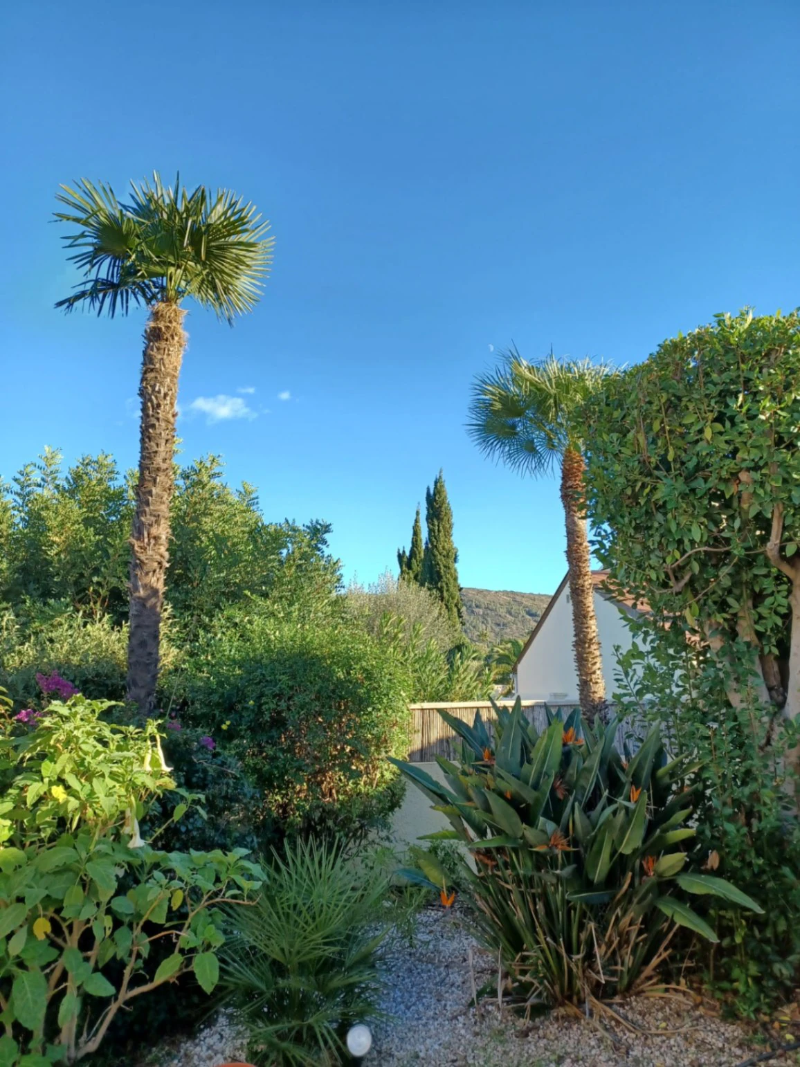 Wonderful villa very close to Orba