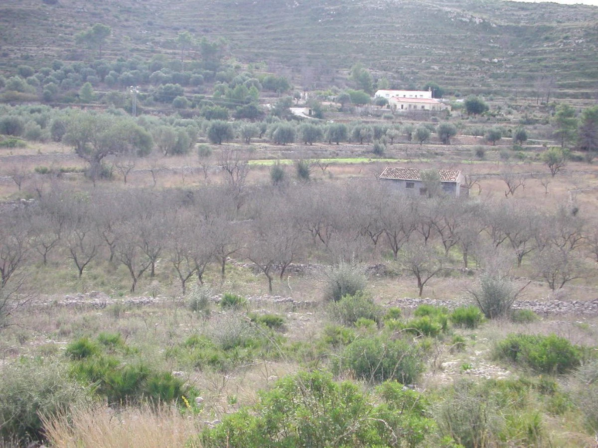 A beautiful plot with 360º views of the Jalon Valley
