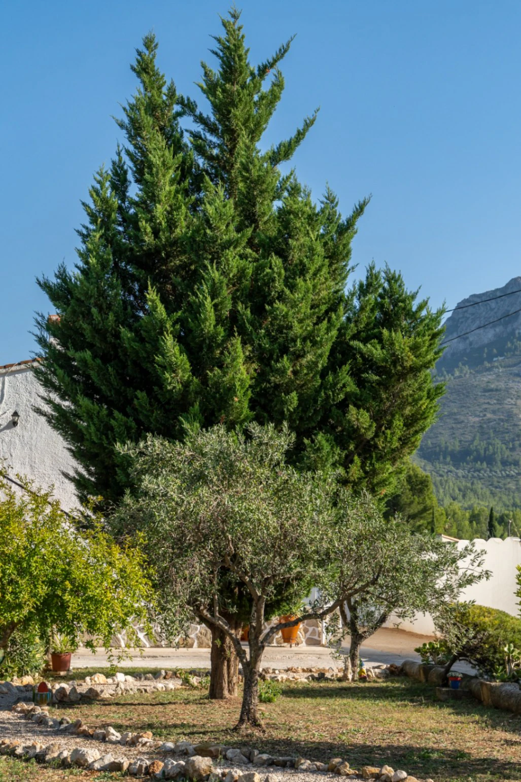 Two villas for sale in Parcent on one plot