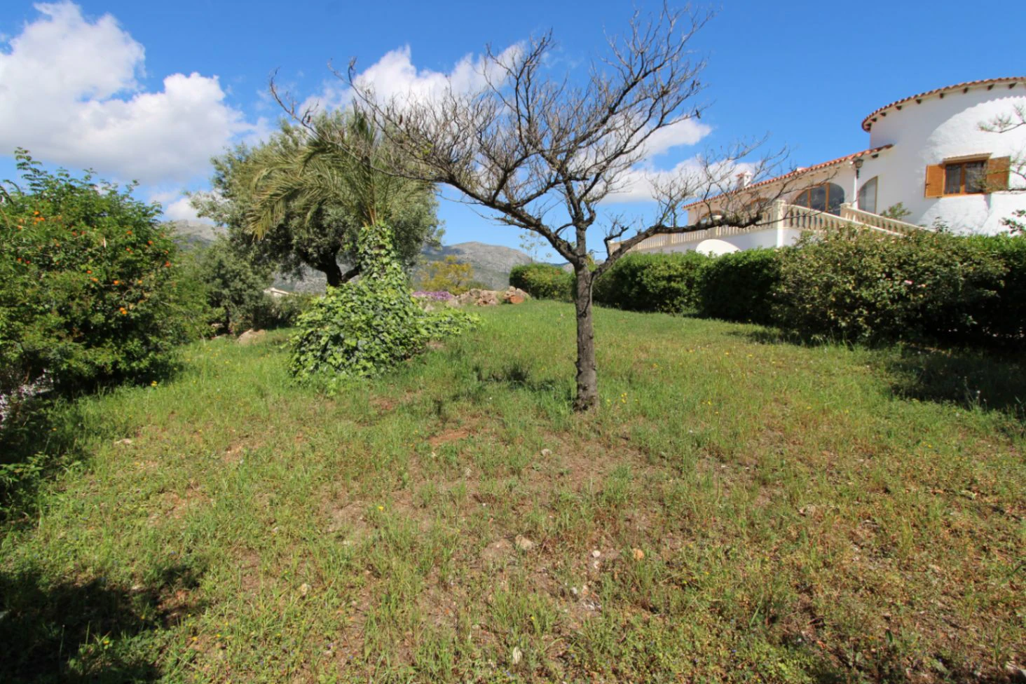 Verkoop. Villa in Orba