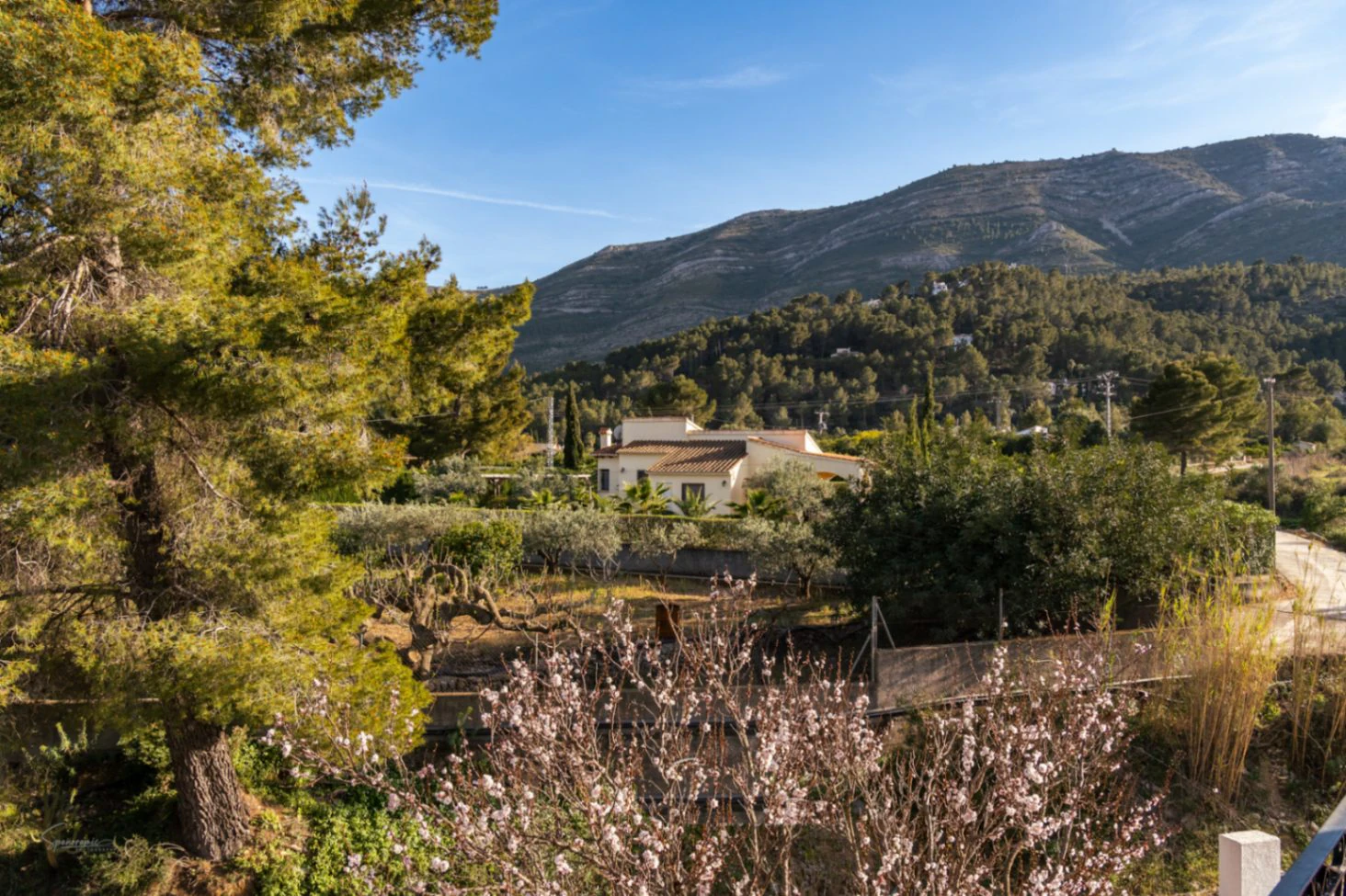 Two villas for sale in Parcent on one plot