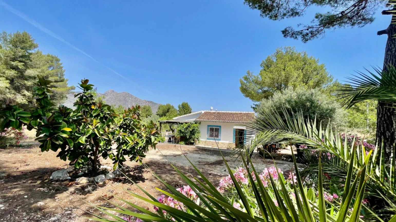 Country house for sale in Parcent: large plot, tranquil escape