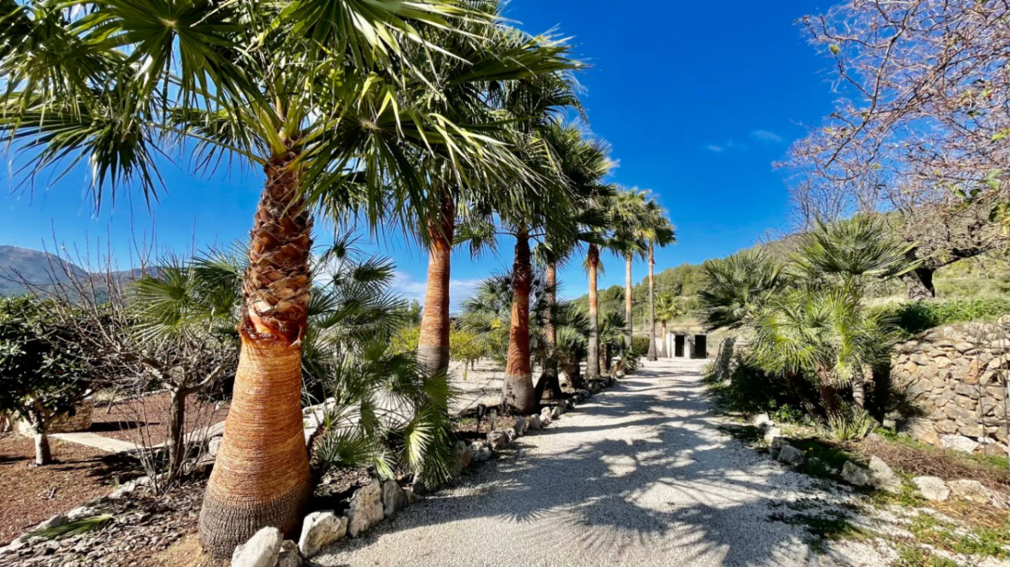 Finca/villa for sale in Lliber: Stunning views