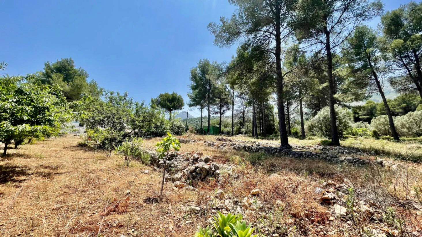 Country house for sale in Parcent: large plot, tranquil escape