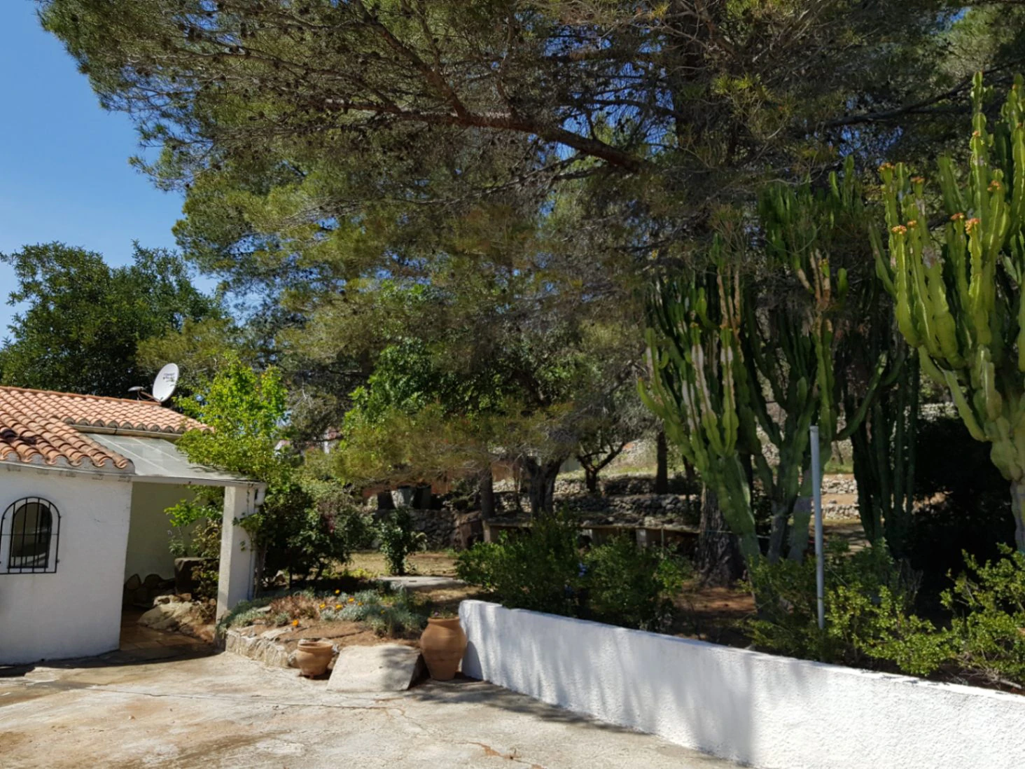 Casita for sale in Alcalali: large urban plot