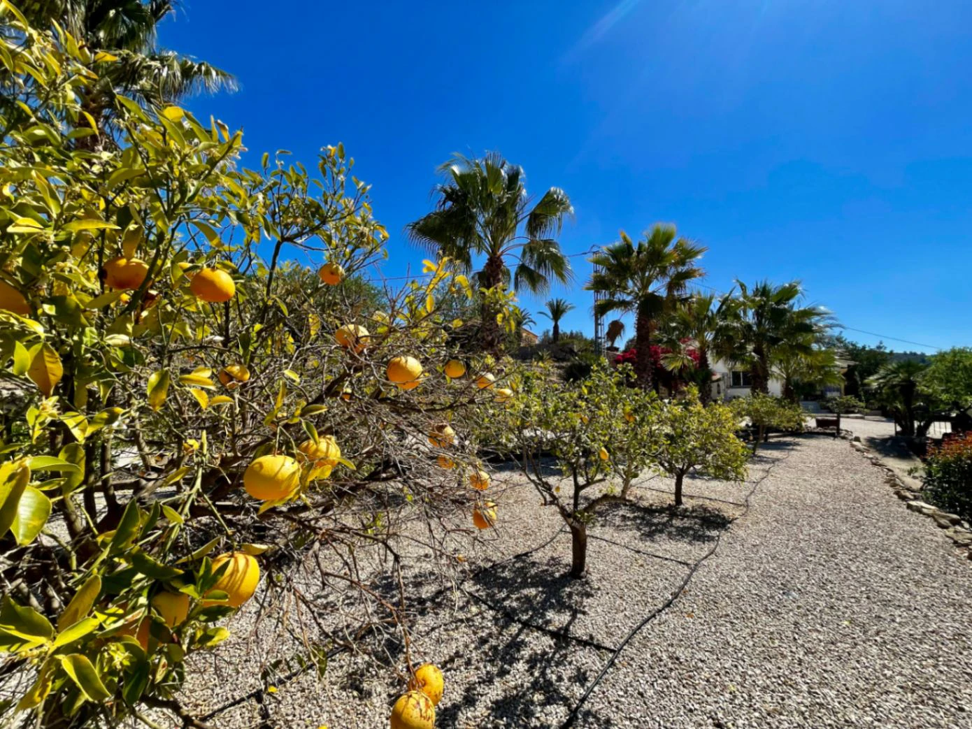 Finca/villa for sale in Lliber: Stunning views