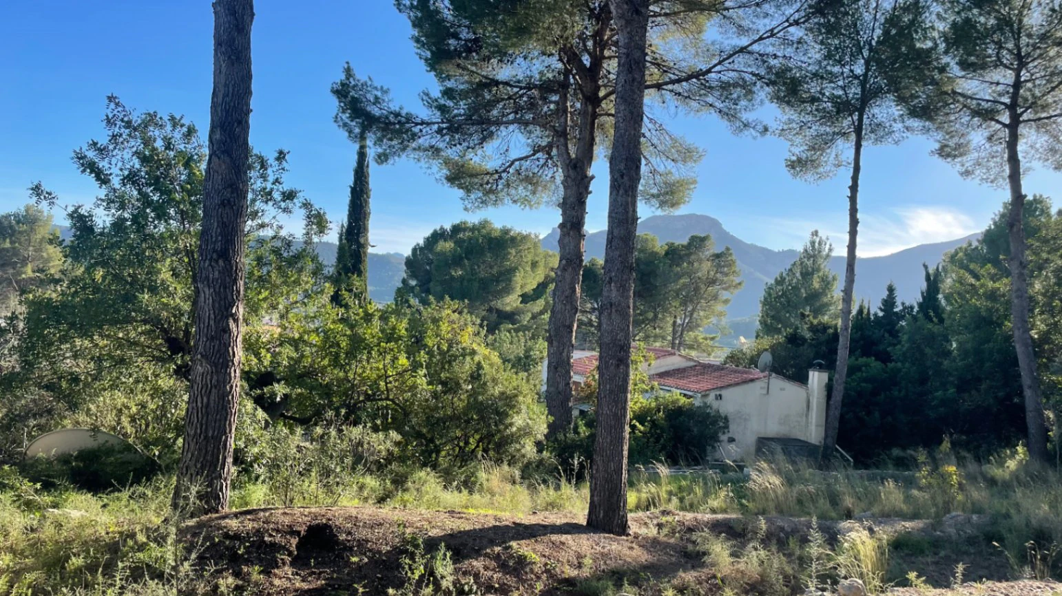 Casita for sale in Alcalali: large urban plot