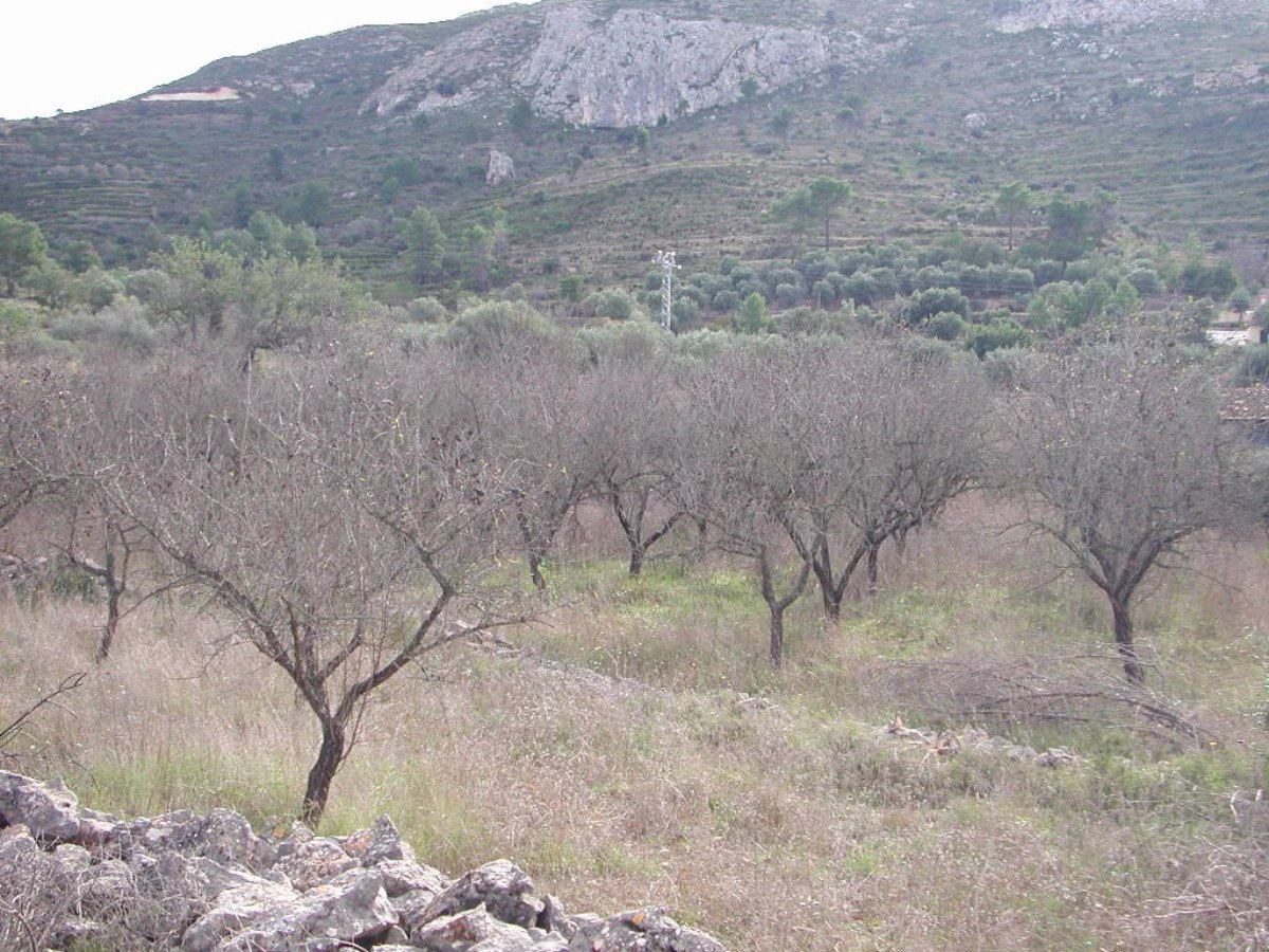 A beautiful plot with 360º views of the Jalon Valley