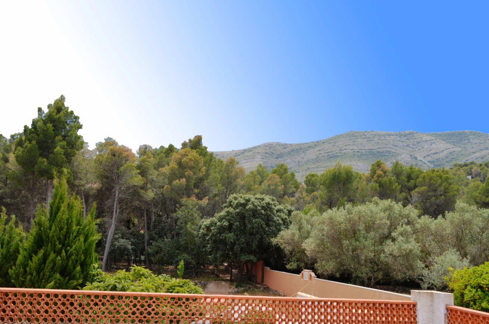 Villa for sale in Parcent: Flat plot, private