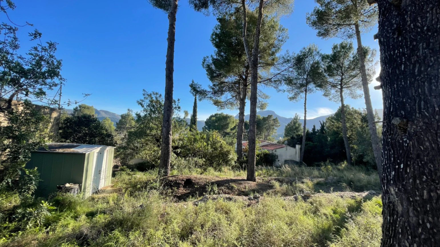Casita for sale in Alcalali: large urban plot