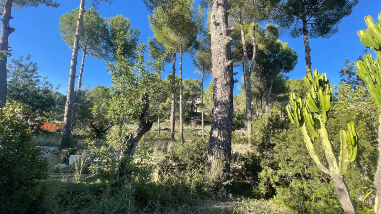 Casita for sale in Alcalali: large urban plot