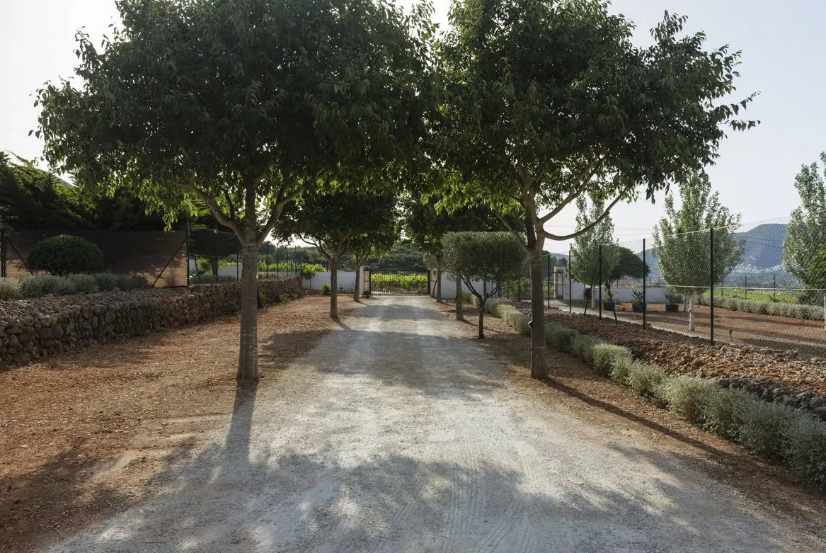 Estate for sale in Jalón