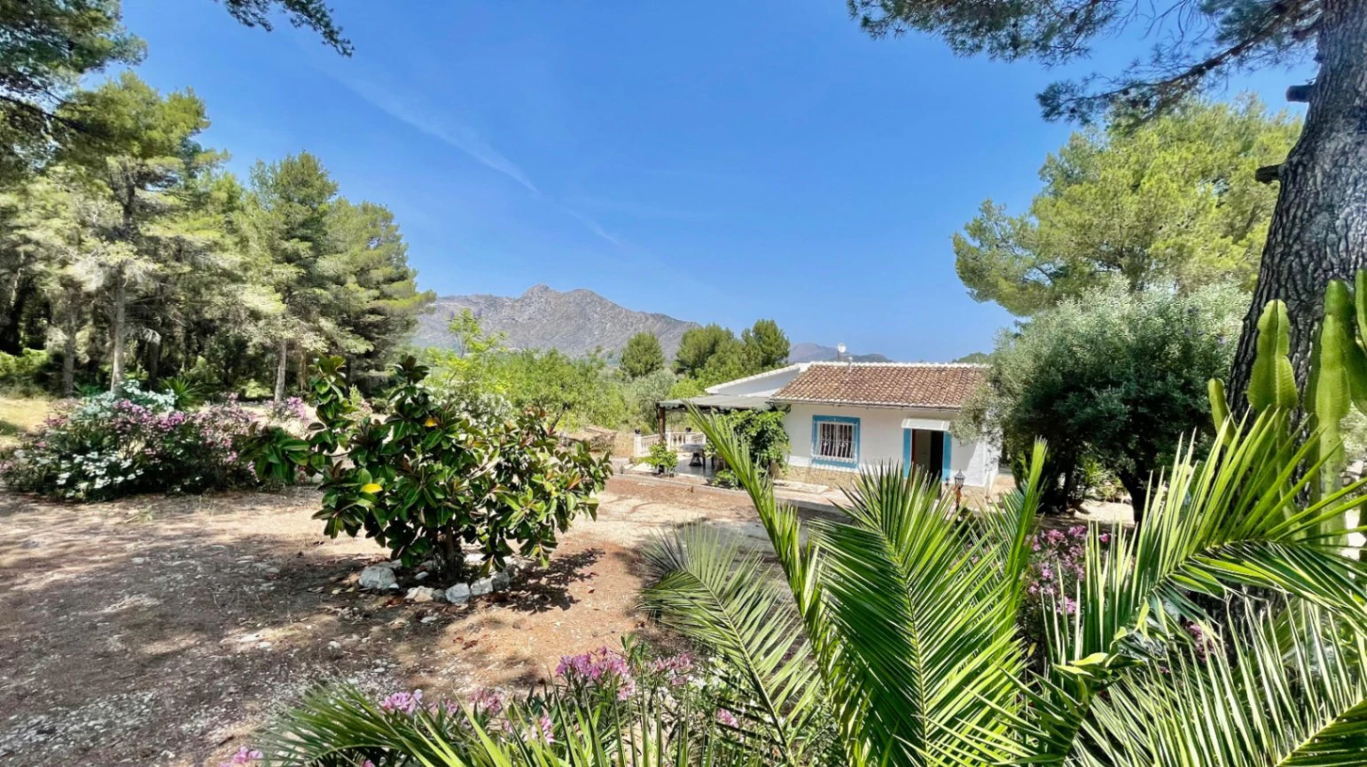 Country house for sale in Parcent: large plot, tranquil escape