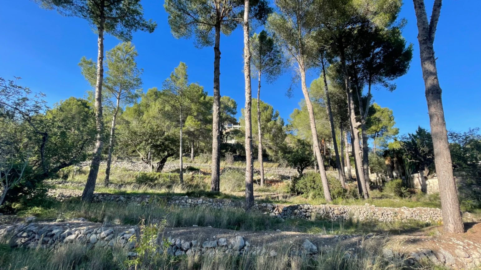 Casita for sale in Alcalali: large urban plot