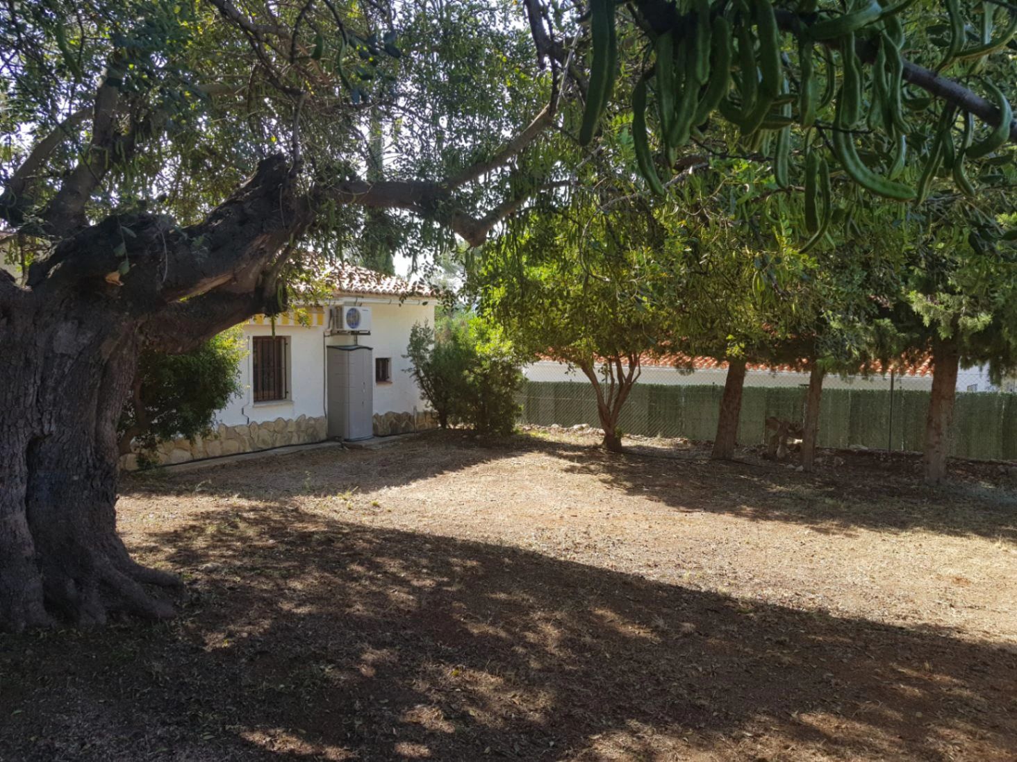 Casita for sale in Alcalali: large urban plot