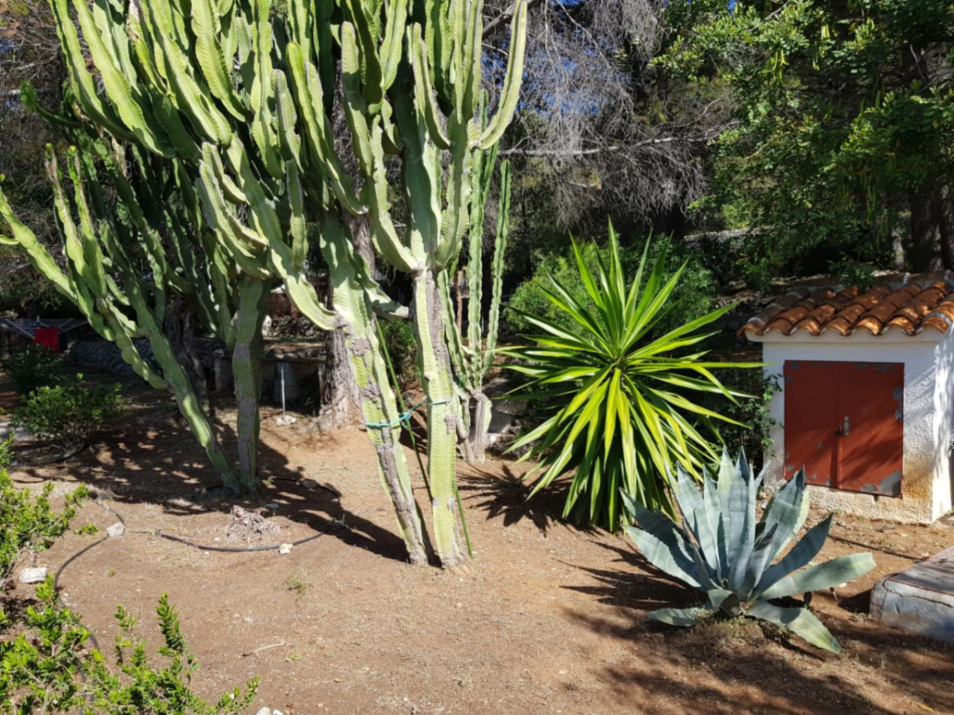 Casita for sale in Alcalali: large urban plot