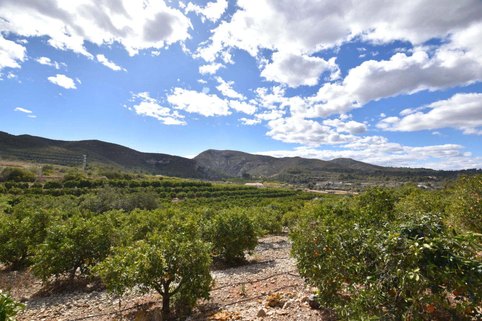 Finca for sale in Denia