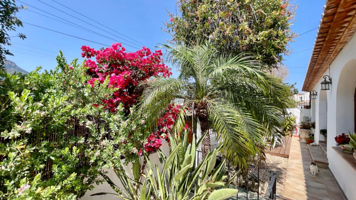 Villa for sale in Alcalali: Main house 4 bed, separate 2 bed casita