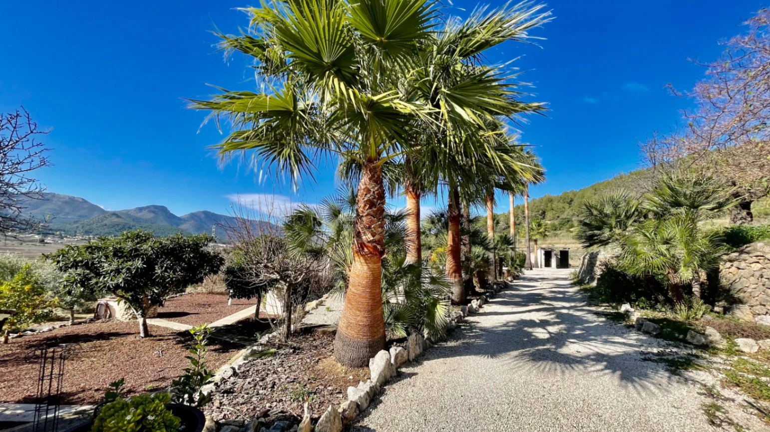 Finca/villa for sale in Lliber: Stunning views