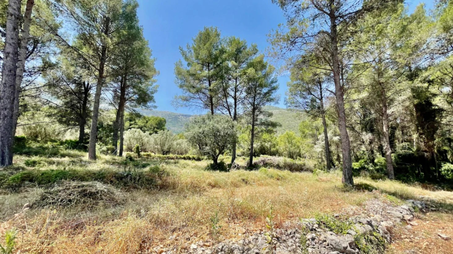 Country house for sale in Parcent: large plot, tranquil escape