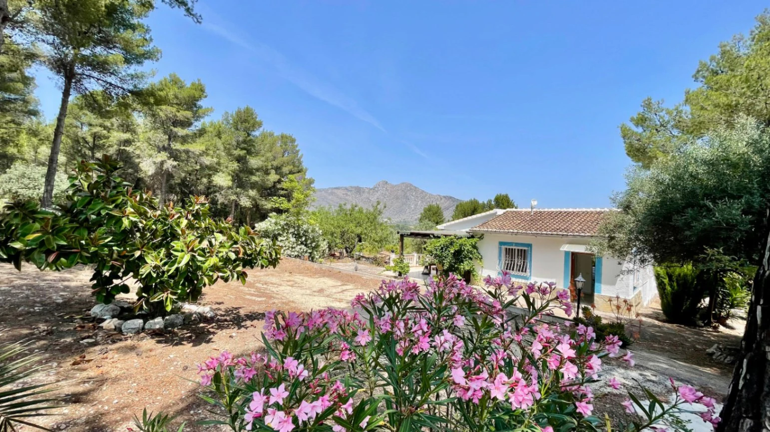 Country house for sale in Parcent: large plot, tranquil escape